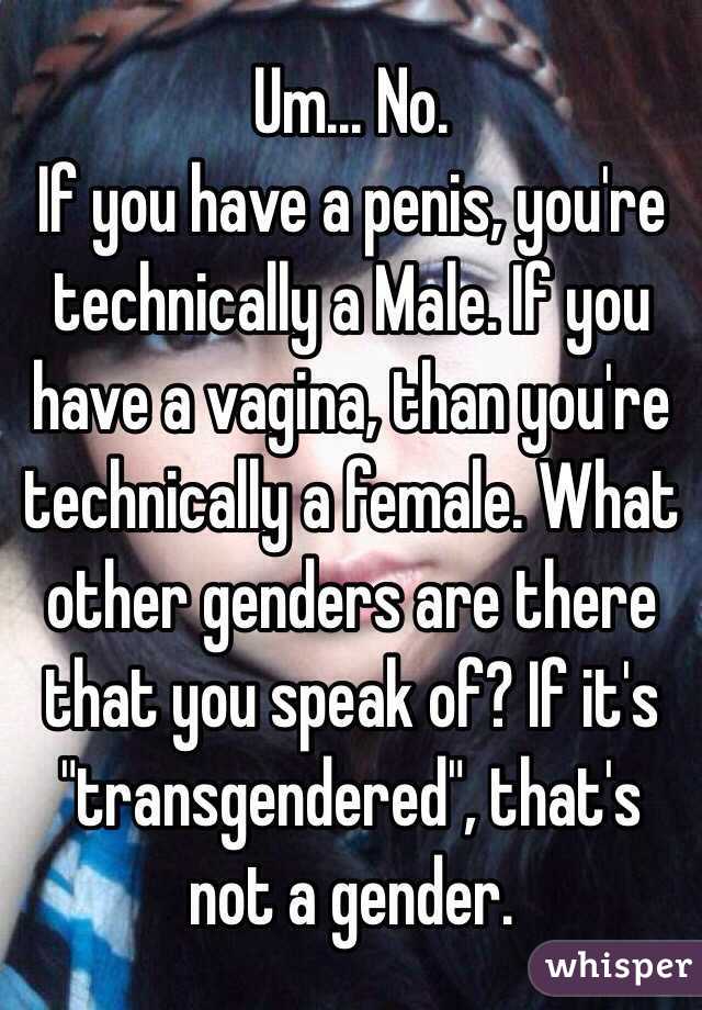 Um... No. 
If you have a penis, you're technically a Male. If you have a vagina, than you're technically a female. What other genders are there that you speak of? If it's "transgendered", that's not a gender.