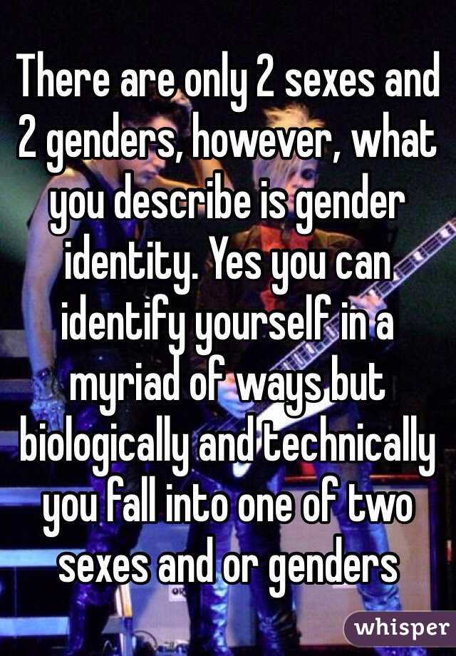 There are only 2 sexes and 2 genders, however, what you describe is gender identity. Yes you can identify yourself in a myriad of ways but biologically and technically you fall into one of two sexes and or genders 