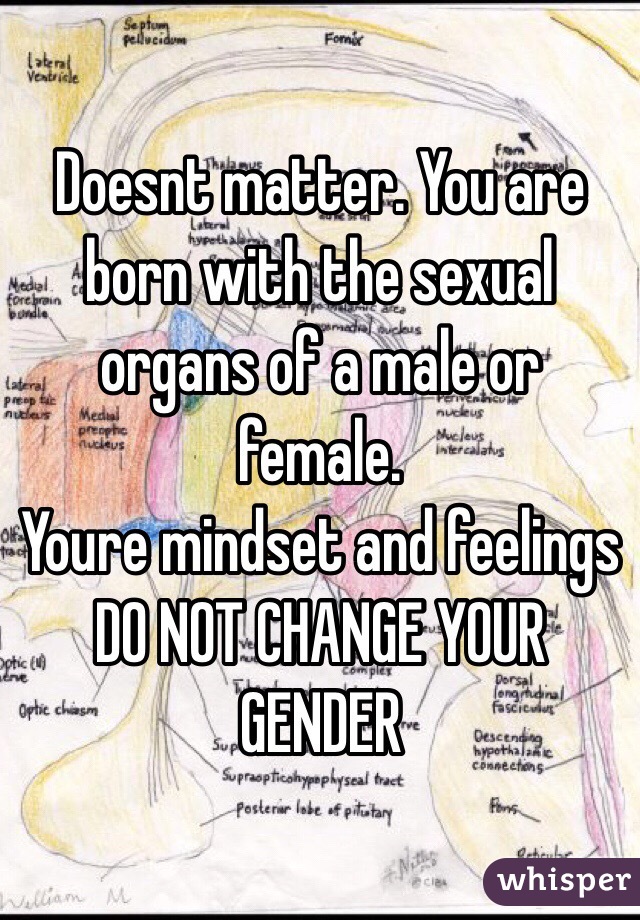 Doesnt matter. You are born with the sexual organs of a male or female. 
Youre mindset and feelings DO NOT CHANGE YOUR GENDER