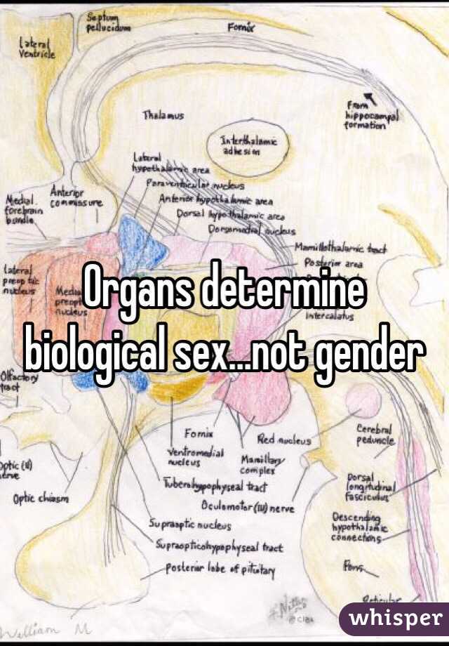 Organs determine biological sex...not gender 