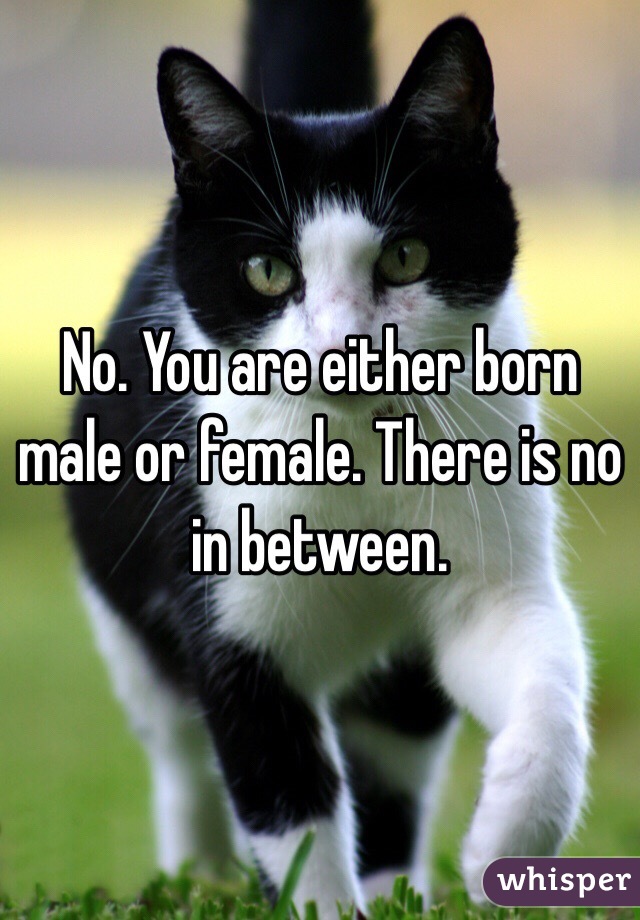 No. You are either born male or female. There is no in between.