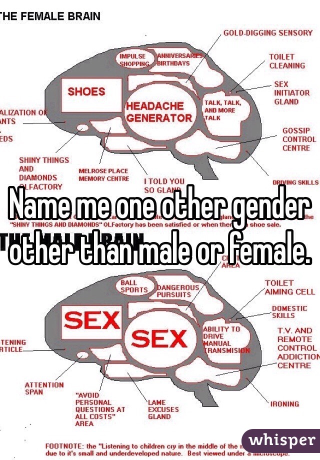 Name me one other gender other than male or female.