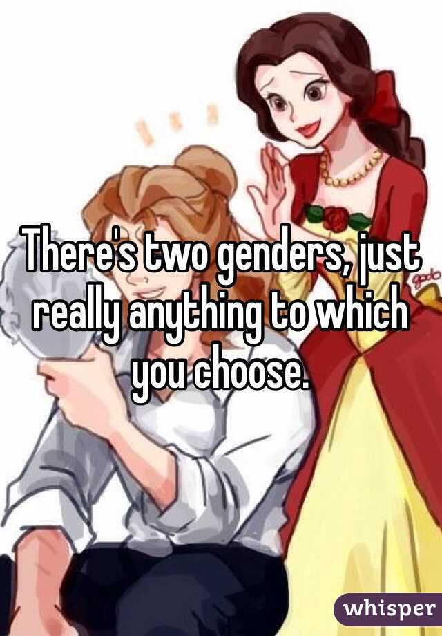 There's two genders, just really anything to which you choose.