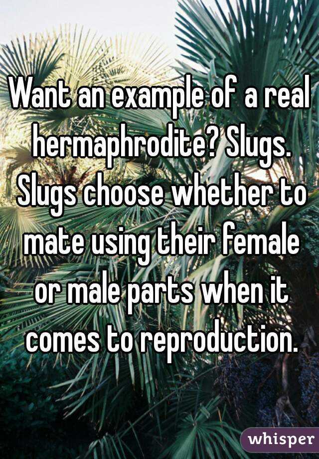 Want an example of a real hermaphrodite? Slugs. Slugs choose whether to mate using their female or male parts when it comes to reproduction.