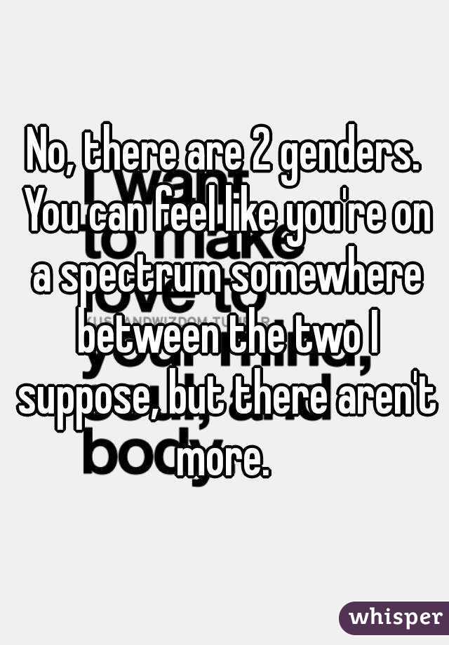 No, there are 2 genders. You can feel like you're on a spectrum somewhere between the two I suppose, but there aren't more. 