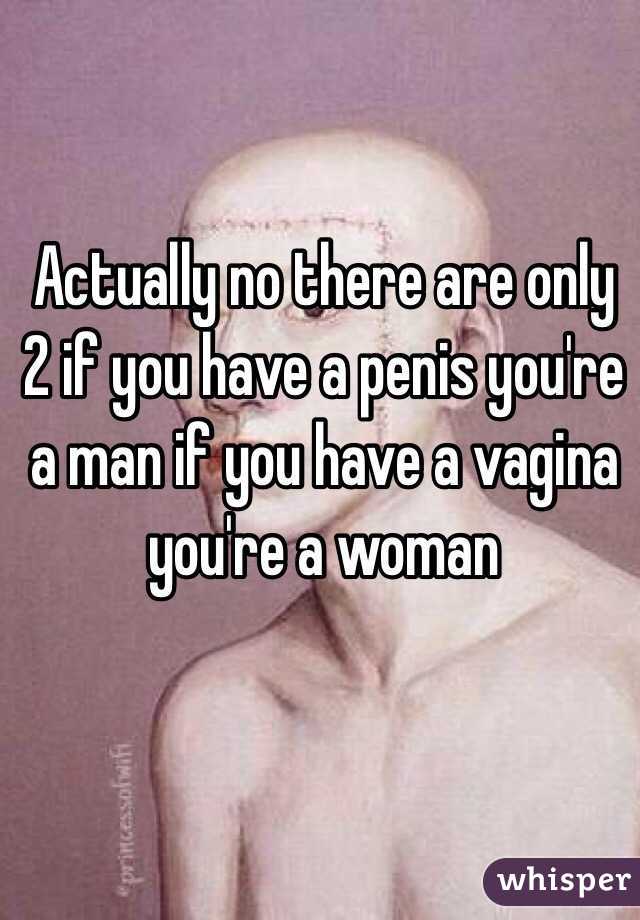 Actually no there are only 2 if you have a penis you're a man if you have a vagina you're a woman