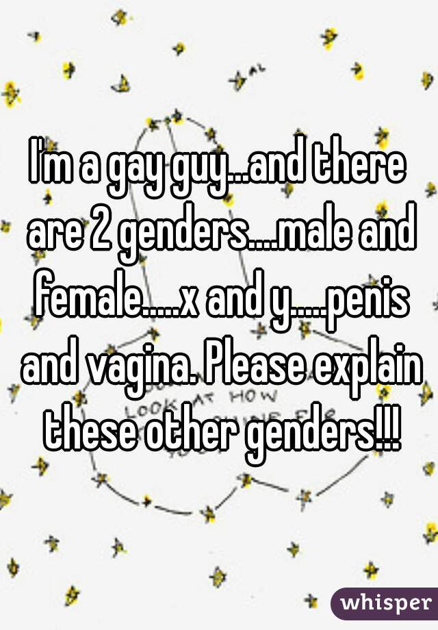 I'm a gay guy...and there are 2 genders....male and female.....x and y.....penis and vagina. Please explain these other genders!!!