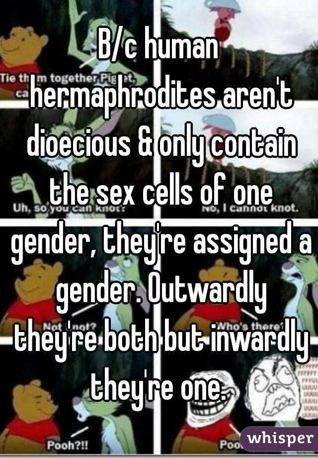 B/c human hermaphrodites aren't dioecious & only contain the sex cells of one gender, they're assigned a gender. Outwardly they're both but inwardly they're one. 