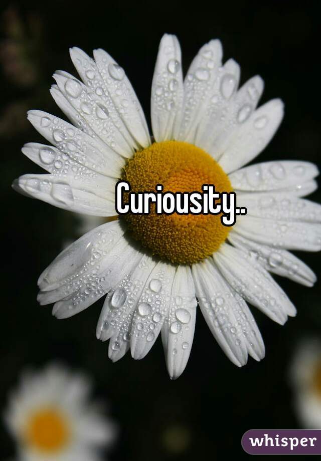 Curiousity..