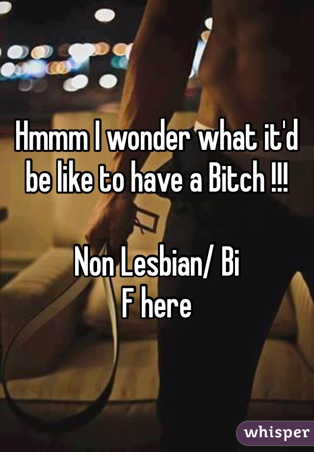Hmmm I wonder what it'd be like to have a Bitch !!! 

Non Lesbian/ Bi 
F here 