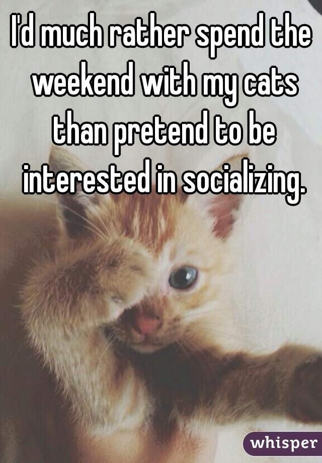 I'd much rather spend the weekend with my cats than pretend to be interested in socializing.