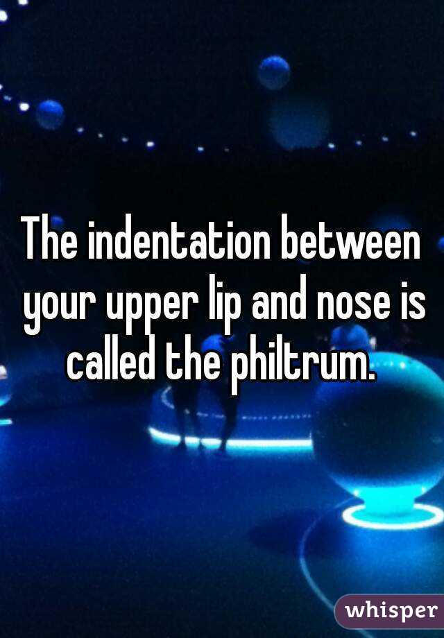 The indentation between your upper lip and nose is called the philtrum. 