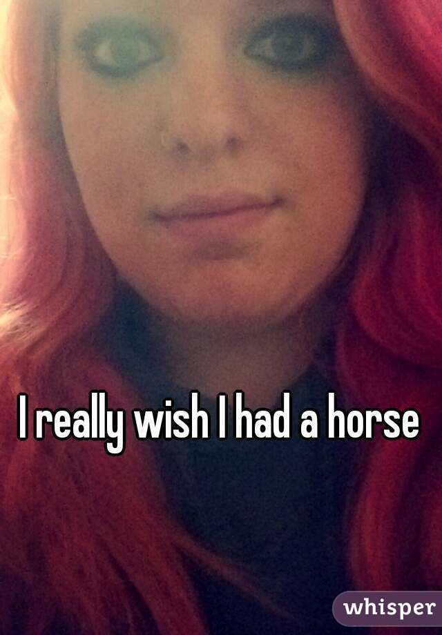 I really wish I had a horse
