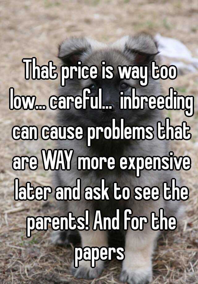 that-price-is-way-too-low-careful-inbreeding-can-cause-problems