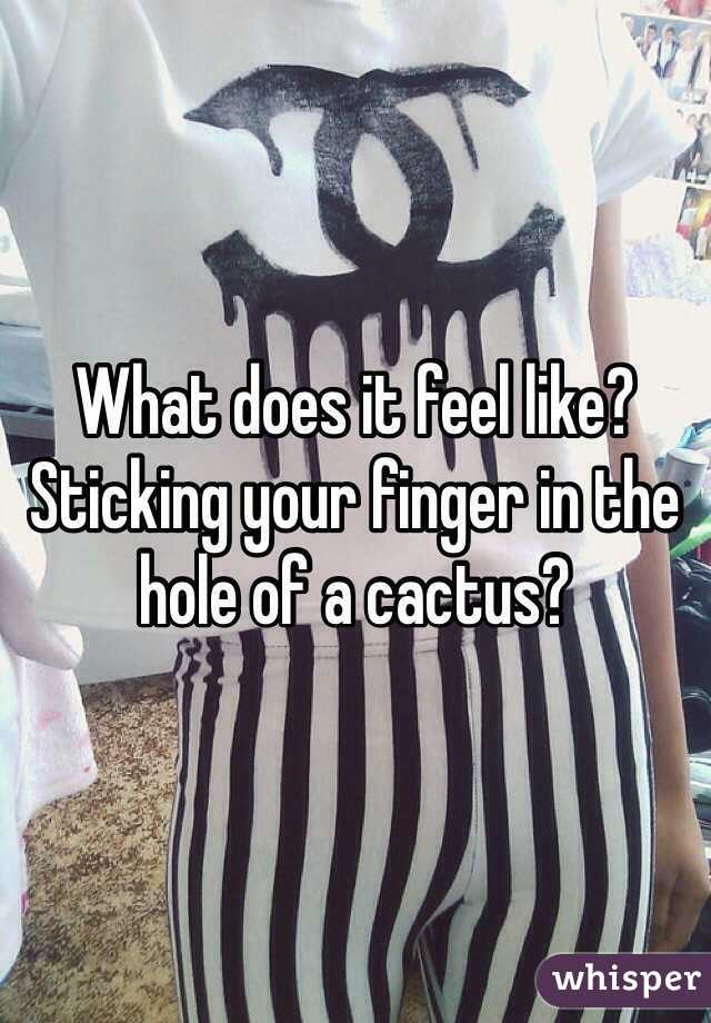What does it feel like? Sticking your finger in the hole of a cactus?