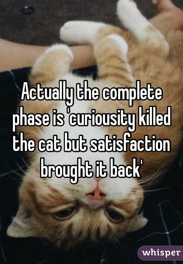 Actually the complete phase is 'curiousity killed the cat but satisfaction brought it back'