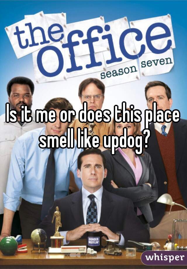 Is it me or does this place smell like updog?