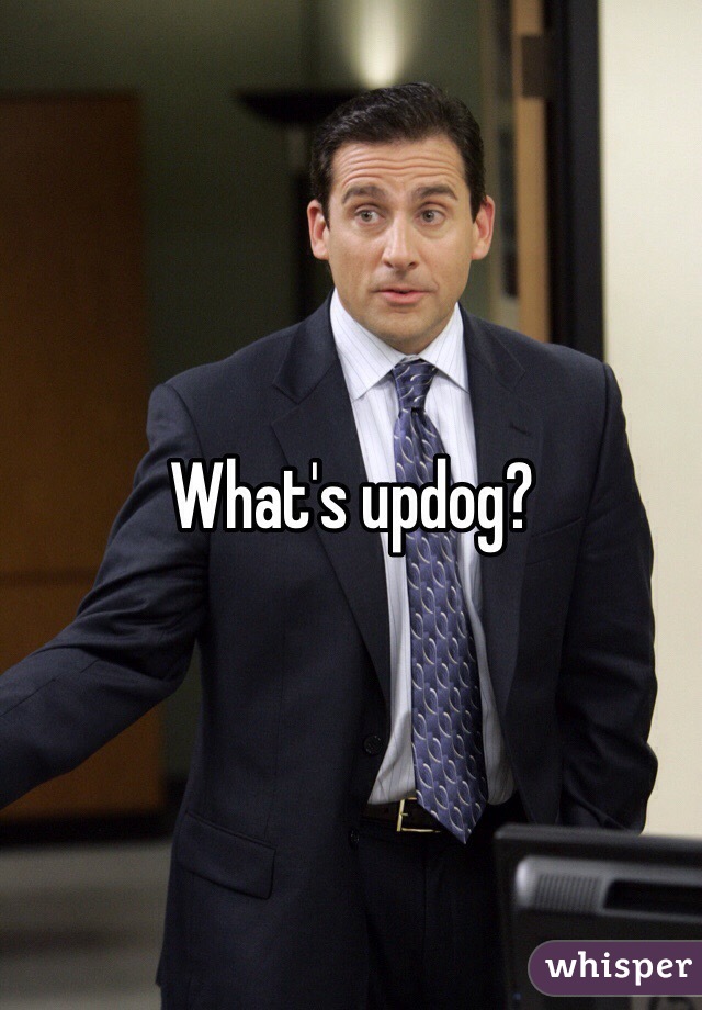 What's updog?