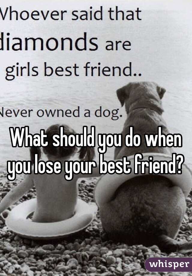 What should you do when you lose your best friend? - Whisper