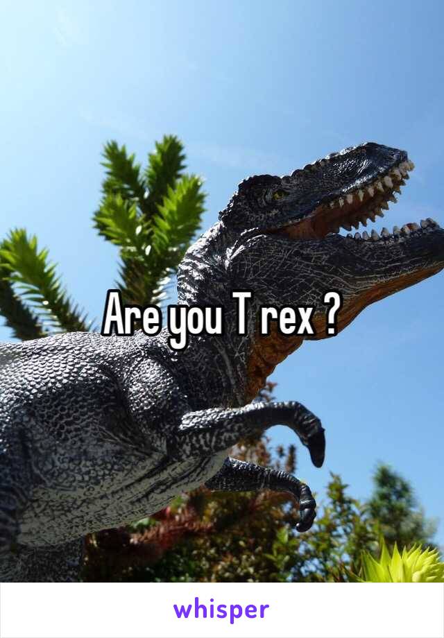 Are you T rex ? 