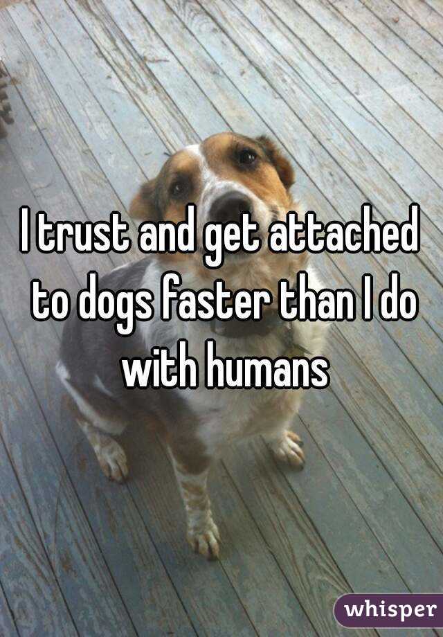 I trust and get attached to dogs faster than I do with humans