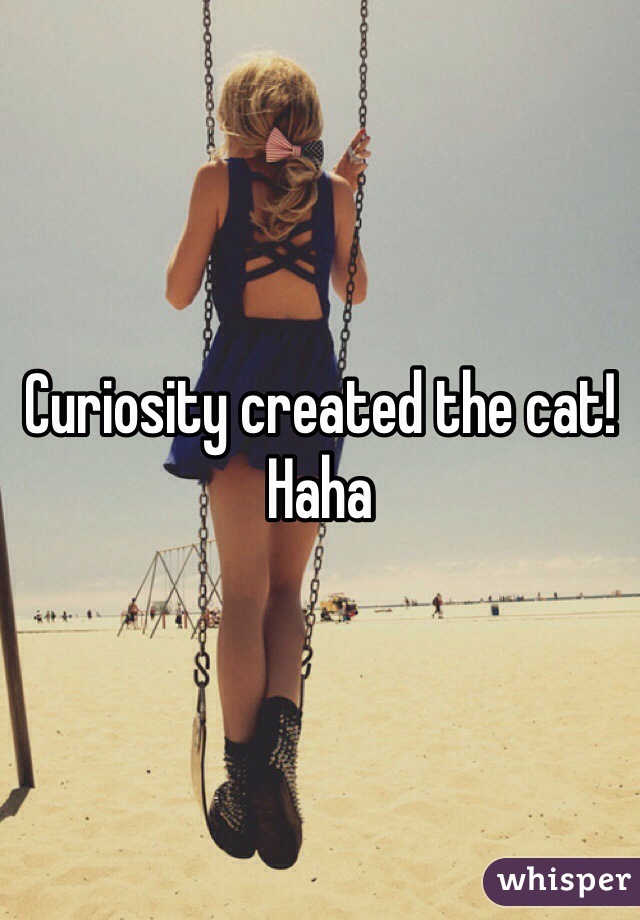 Curiosity created the cat! Haha