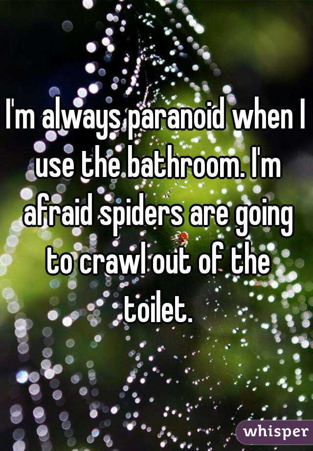 I'm always paranoid when I use the bathroom. I'm afraid spiders are going to crawl out of the toilet.