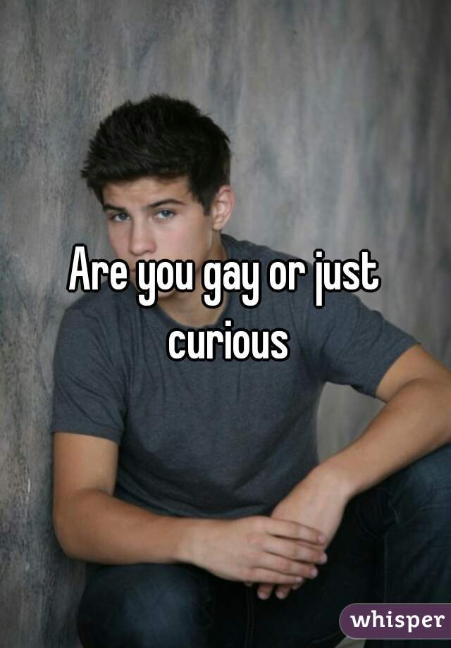 Are you gay or just curious