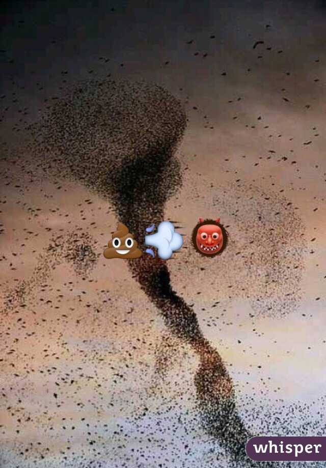 💩💨👹