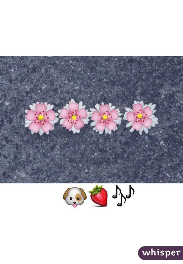 🐶🍓🎶