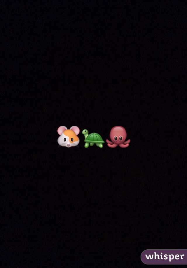 🐹🐢🐙