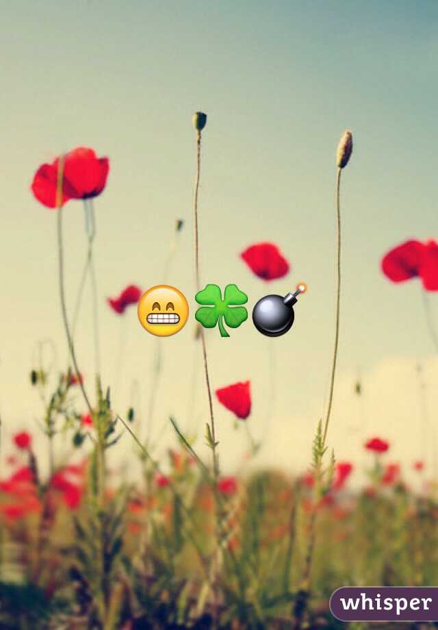 😁🍀💣