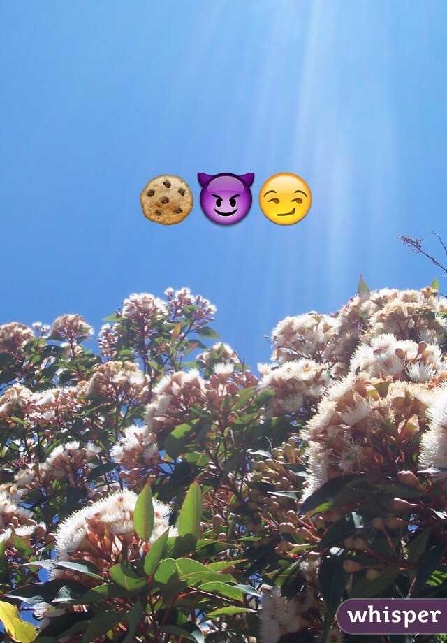 🍪😈😏