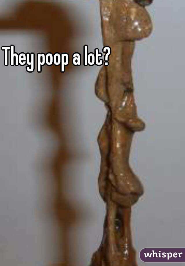 They poop a lot?