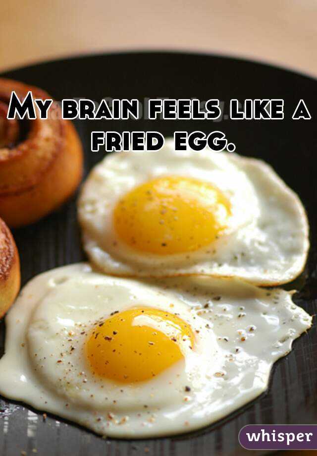 My brain feels like a fried egg.
