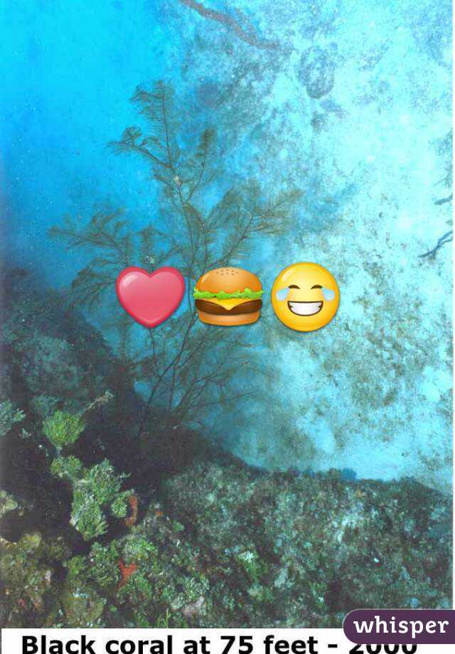 ❤🍔😂