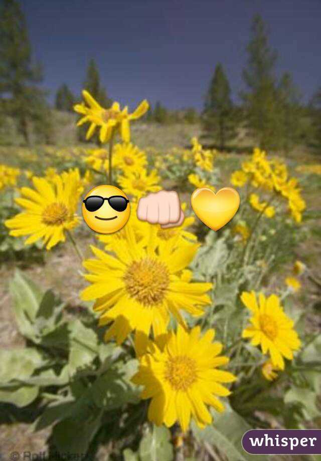 😎👊💛