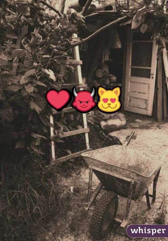 ❤👿😻  