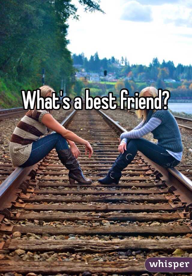 What's a best friend?