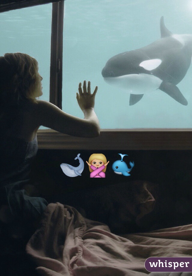 🐋🙅🏼🐳