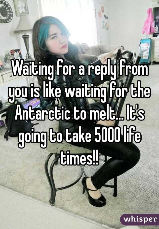 Waiting for a reply from you is like waiting for the Antarctic to melt... It's going to take 5000 life times!!