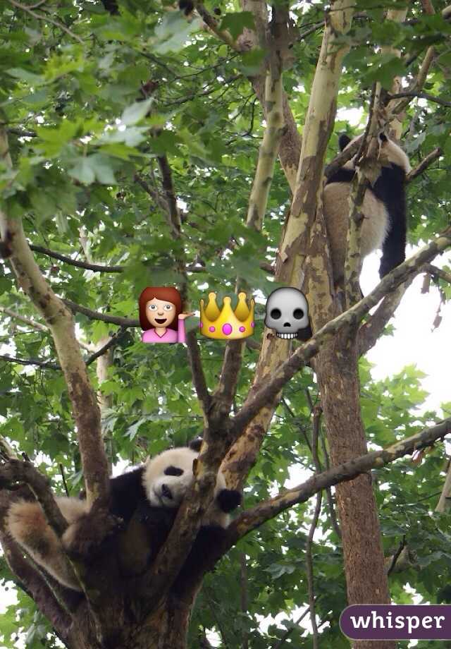 💁👑💀