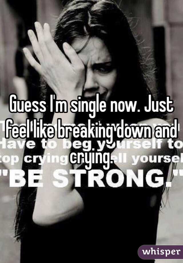 Guess I'm single now. Just feel like breaking down and crying.