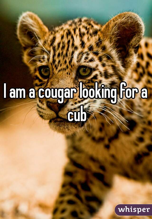 I am a cougar looking for a cub