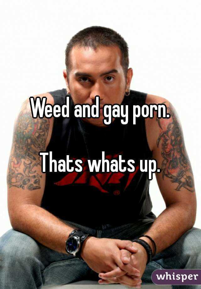 Weed and gay porn.

Thats whats up.