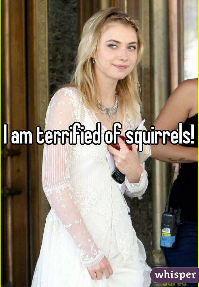 I am terrified of squirrels!