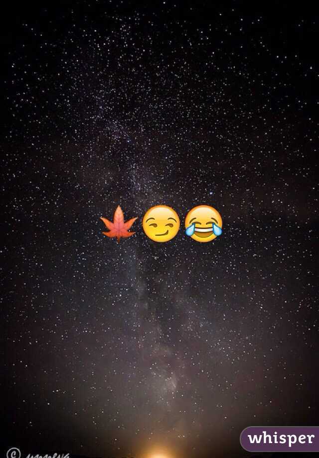 🍁😏😂