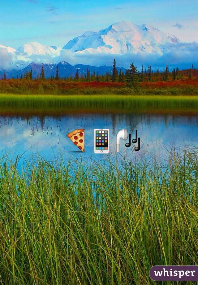 🍕📱🎧