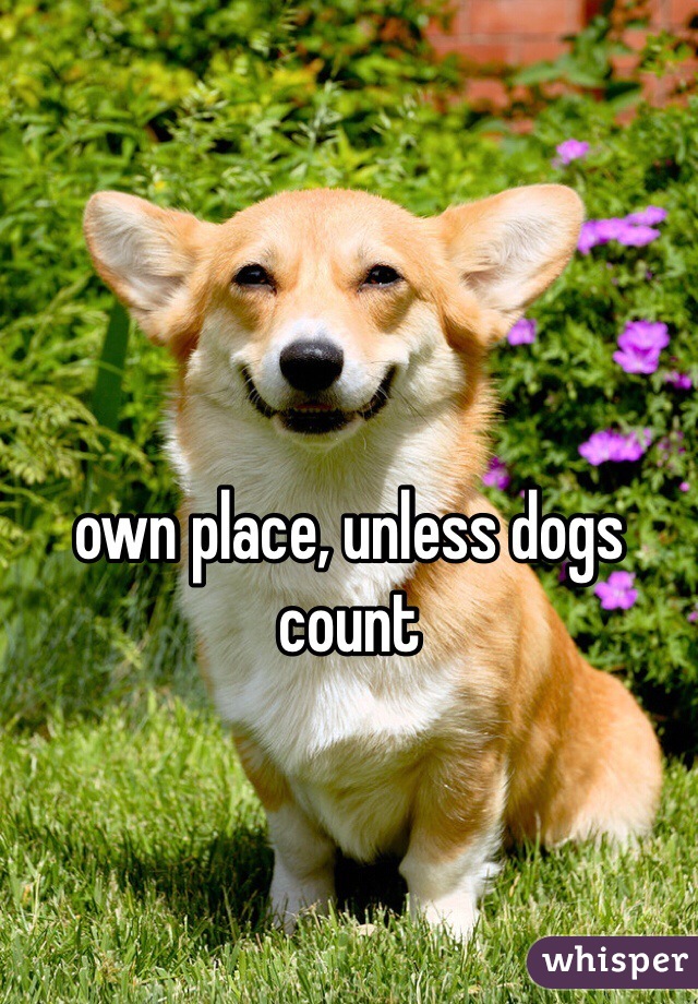 own place, unless dogs count