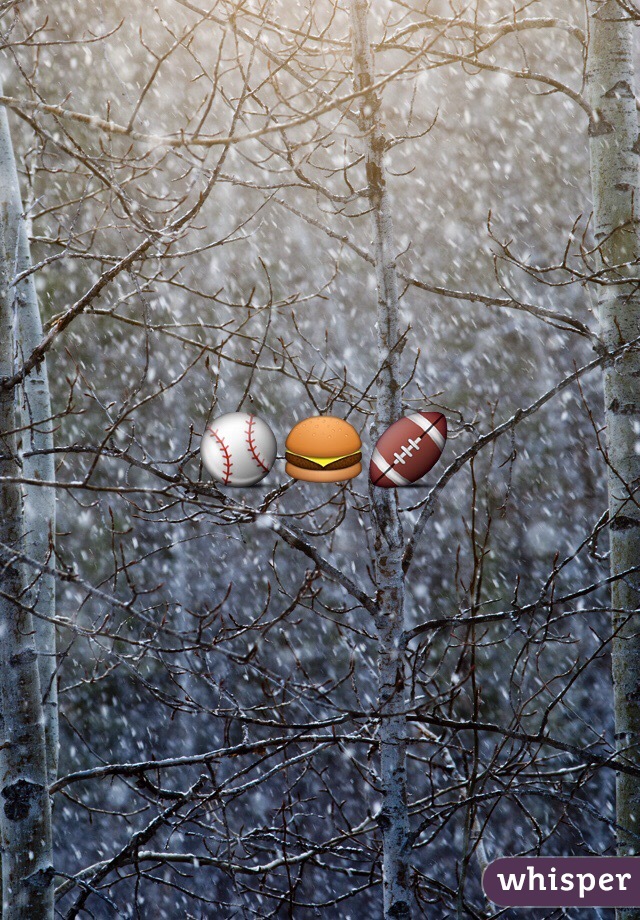 ⚾️🍔🏈